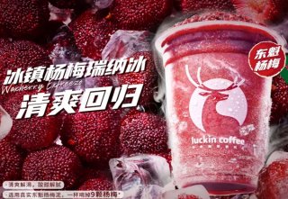 加盟投资选瑞幸咖啡哪家好？幺艳品牌实力强大！